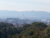 20121026_122053.jpg